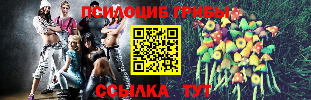 Надым  Псилоцибиновые грибы мицелий  Вход с VPN 